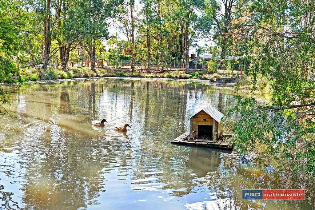 42-44 Grays Lane CRANEBROOK 26