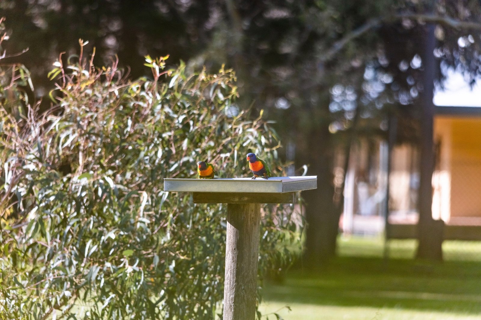 Real Estate and Property in 42-48 Fairway Drive, Wallington, VIC