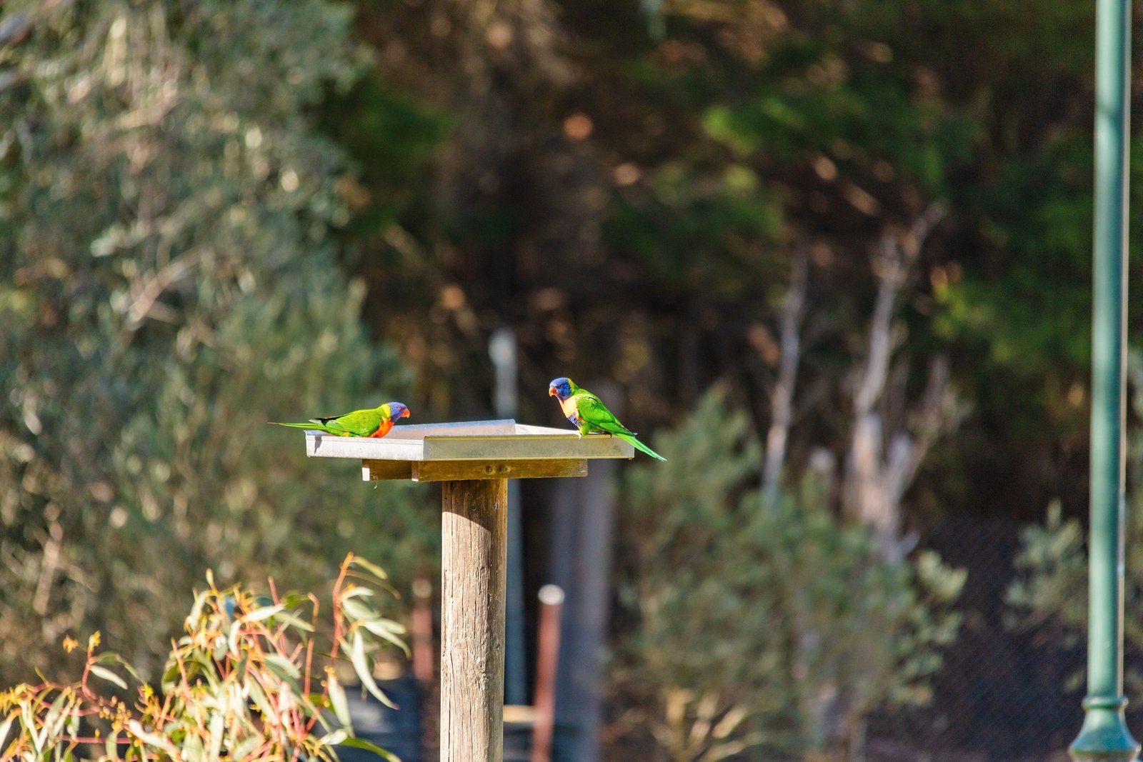 Real Estate and Property in 42-48 Fairway Drive, Wallington, VIC