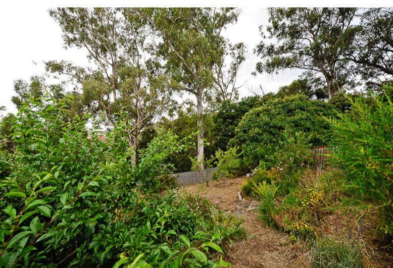 42 Athleen Avenue LENAH VALLEY 7