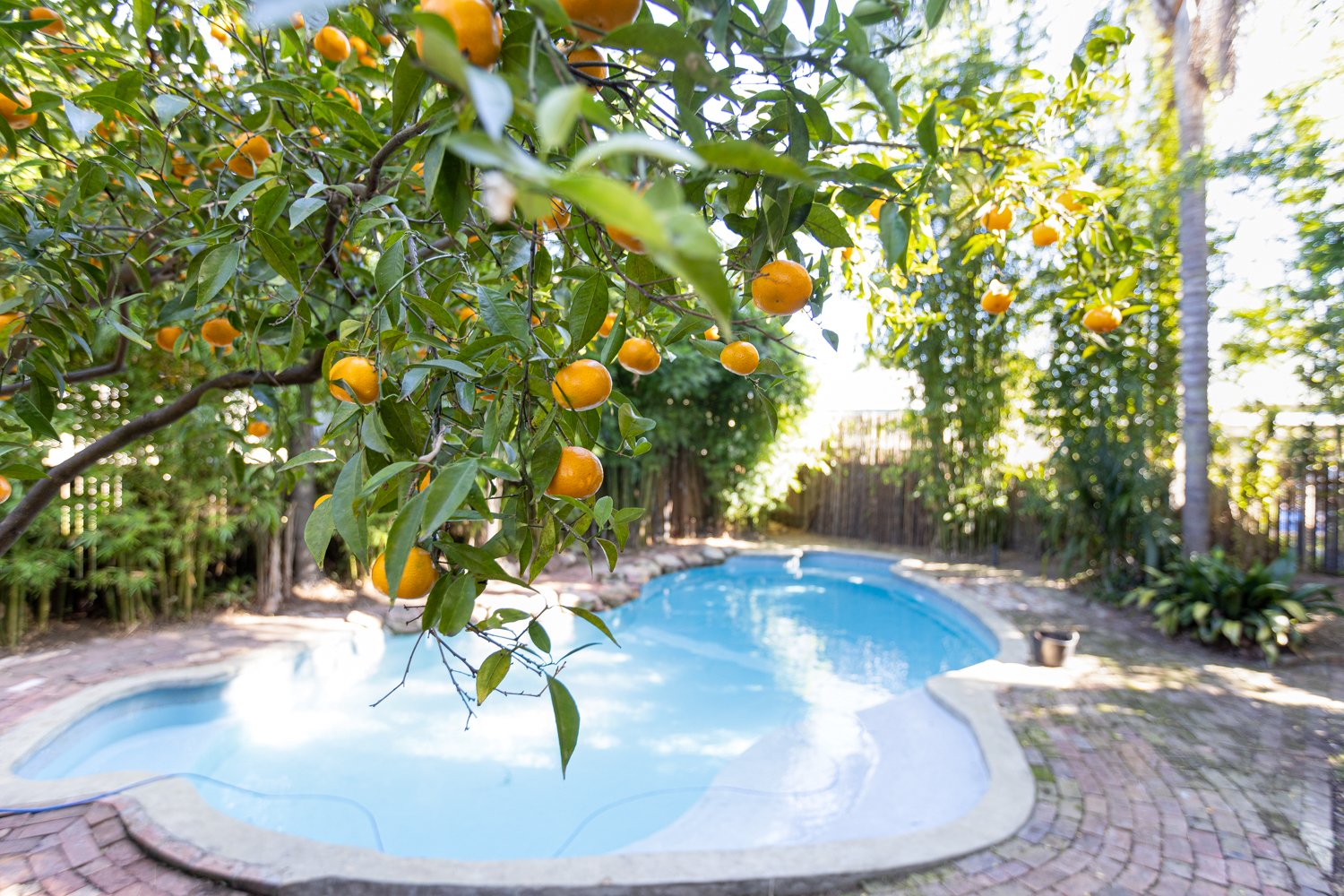 42 Belmore Road LORN 33