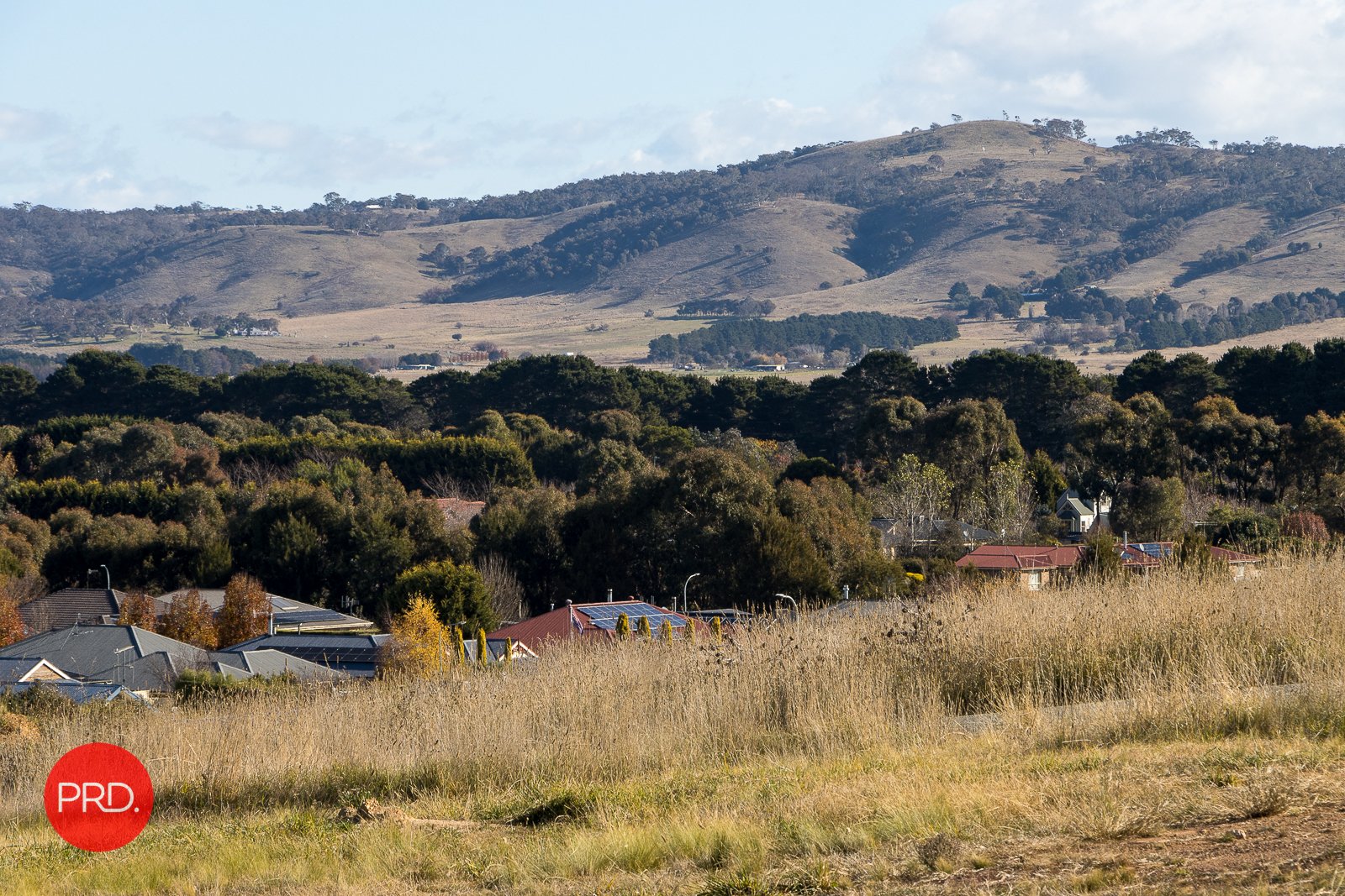 42 Birchfield Drive BUNGENDORE 1