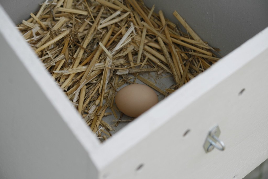 42 Charles Street ABERMAIN 24