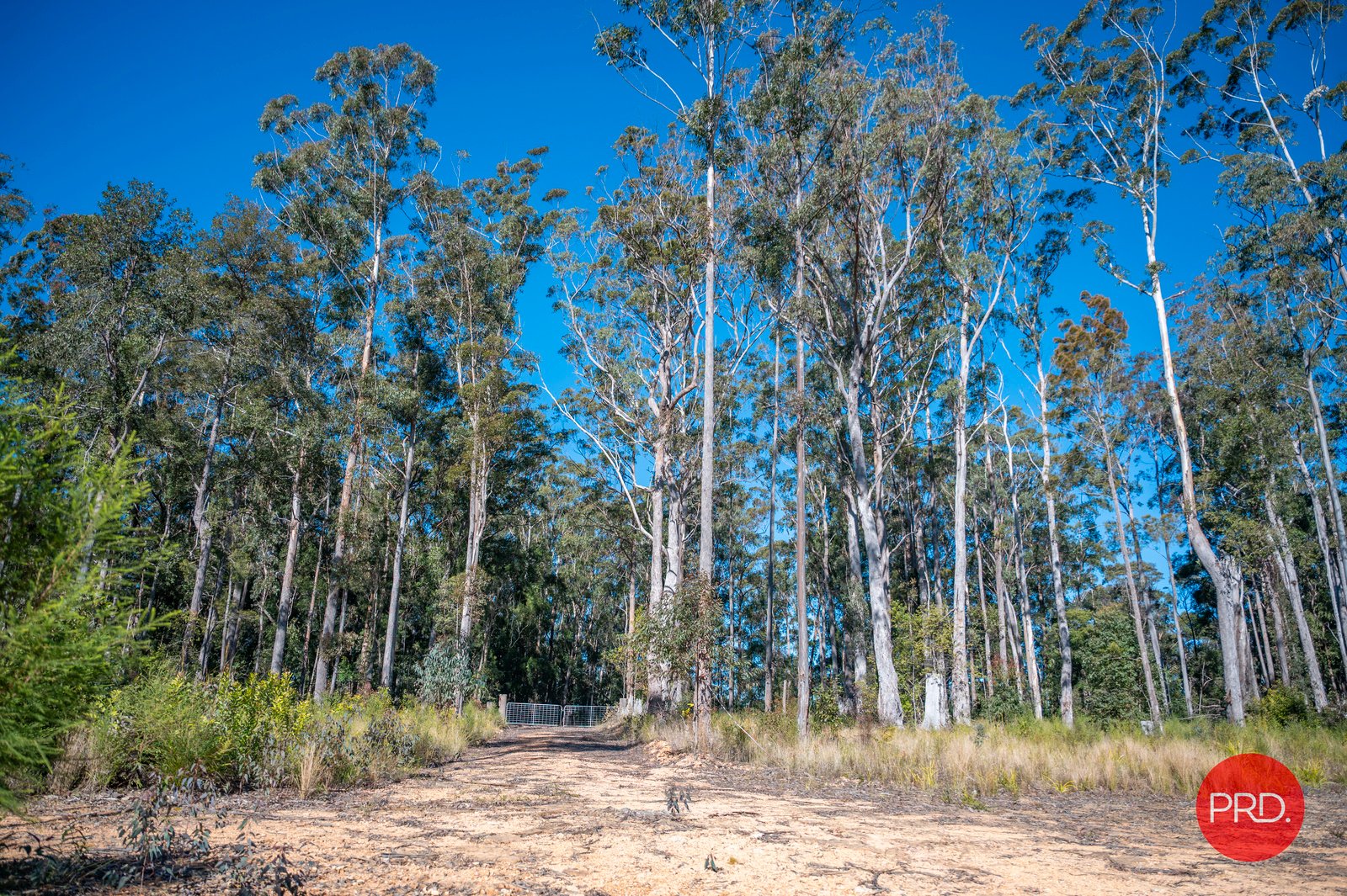 42 Gundarene Road LOWANNA 3