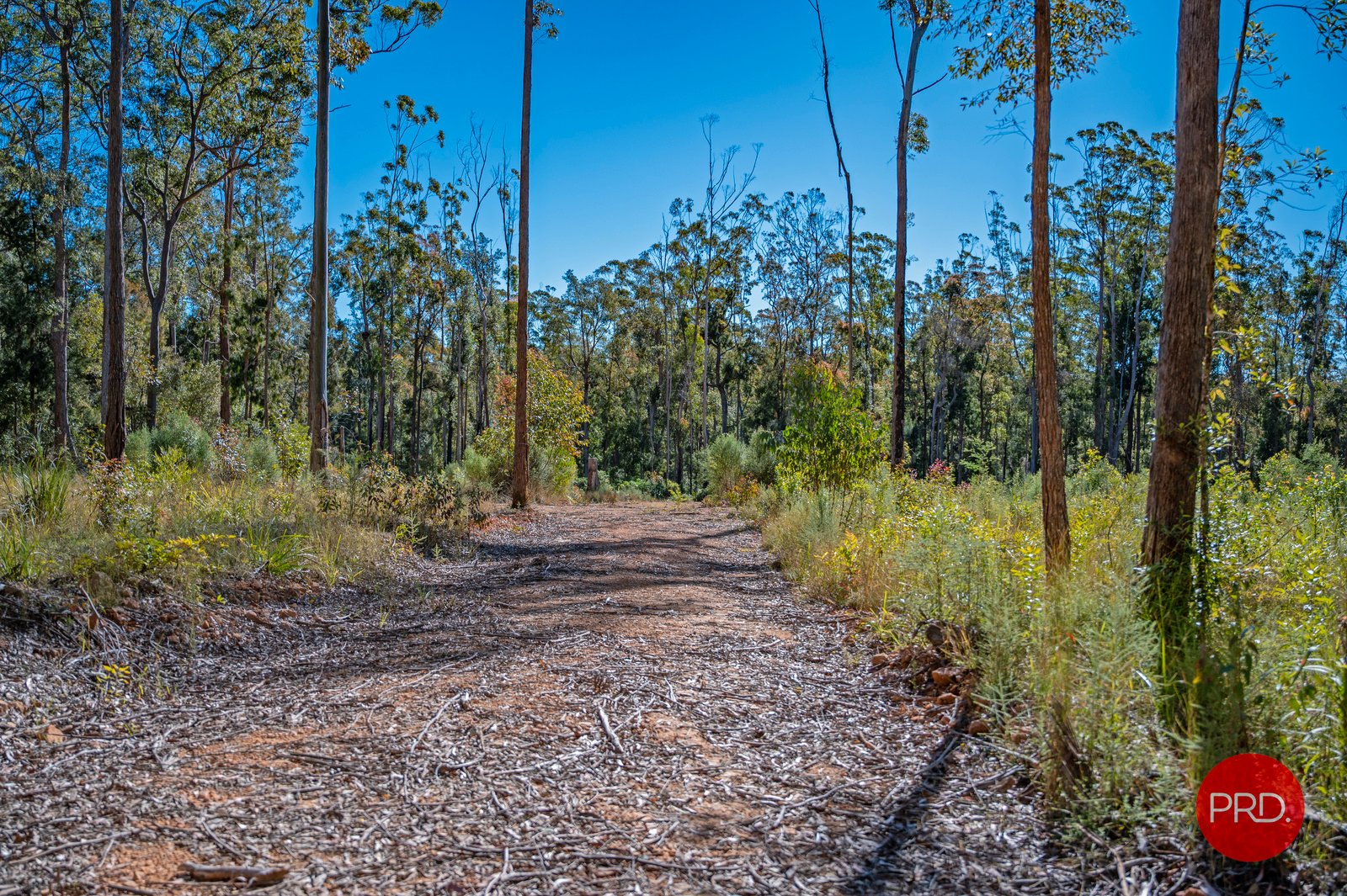 42 Gundarene Road LOWANNA 12