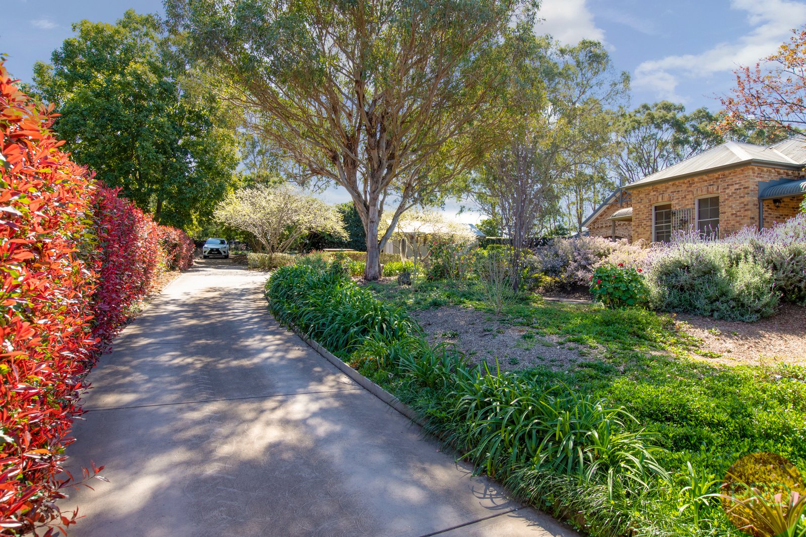 42 Hilldale Drive BOLWARRA HEIGHTS 26