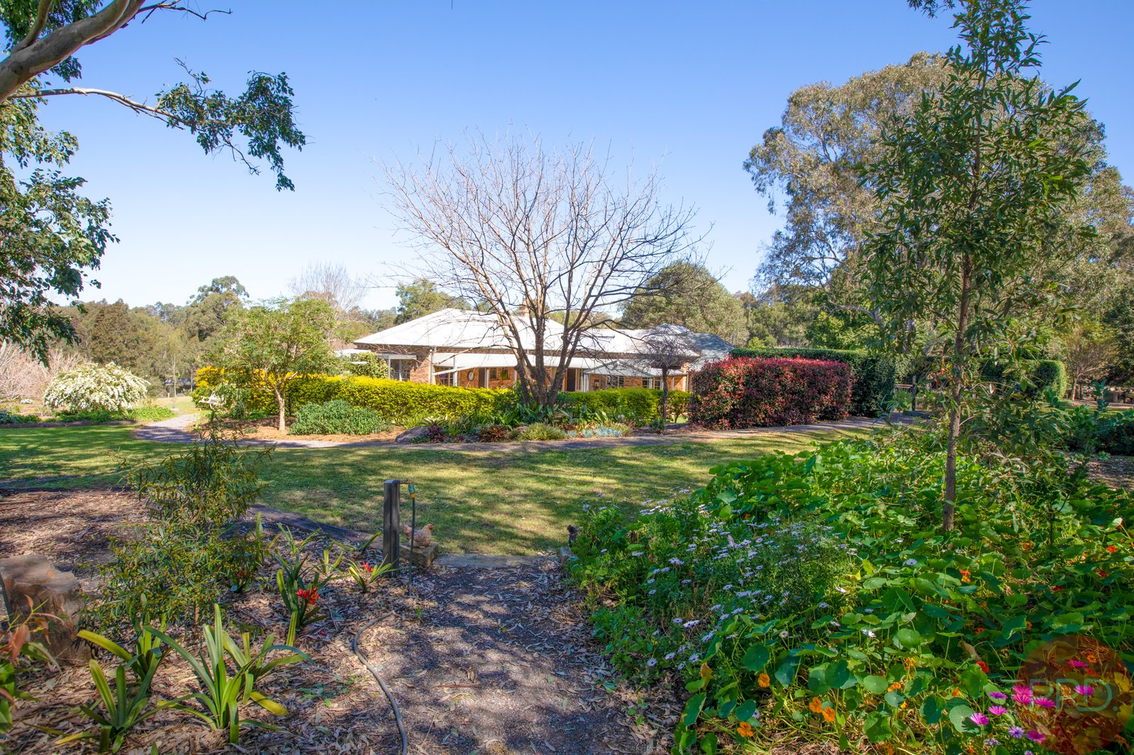 42 Hilldale Drive BOLWARRA HEIGHTS 33