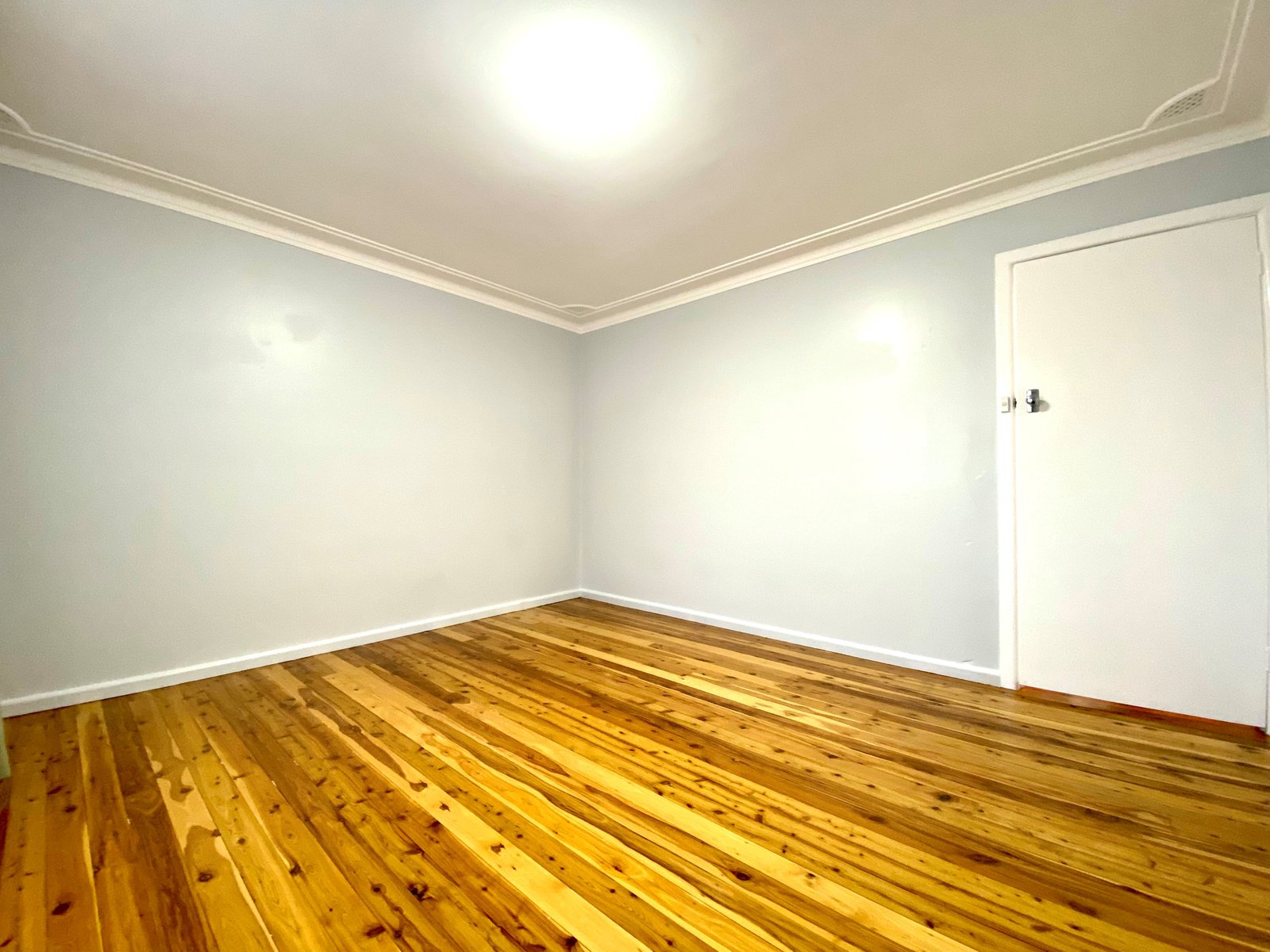 42 Holland Street TAMWORTH 5