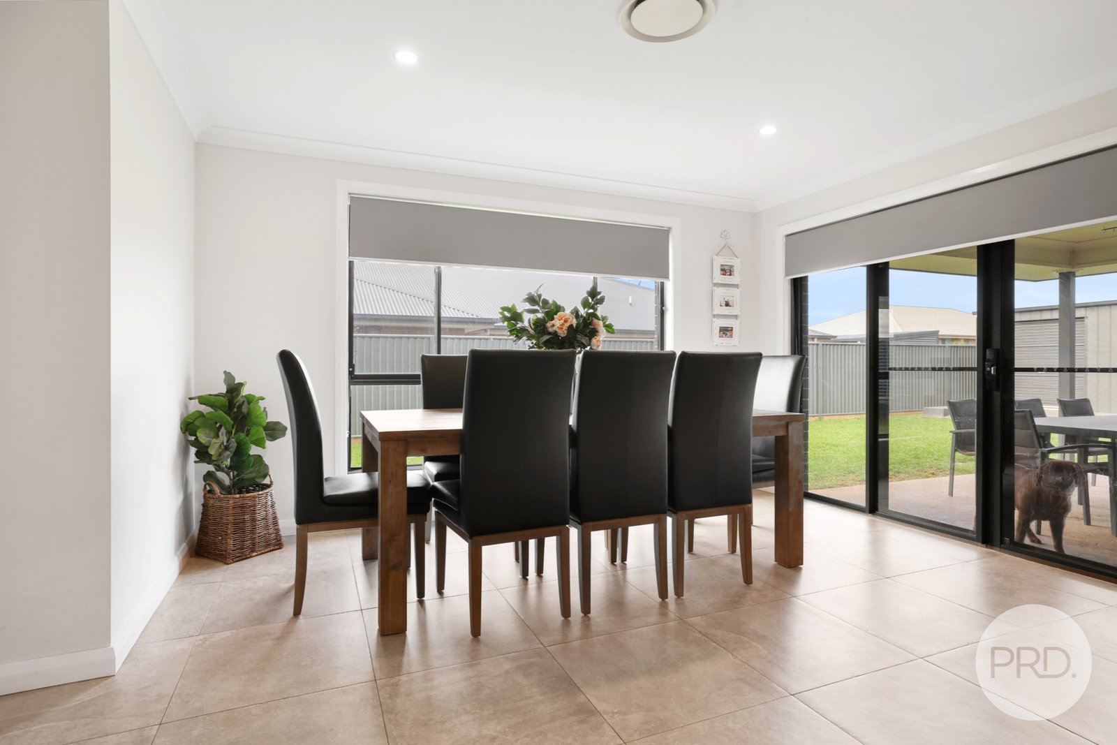 42 Ibis Street TAMWORTH 14