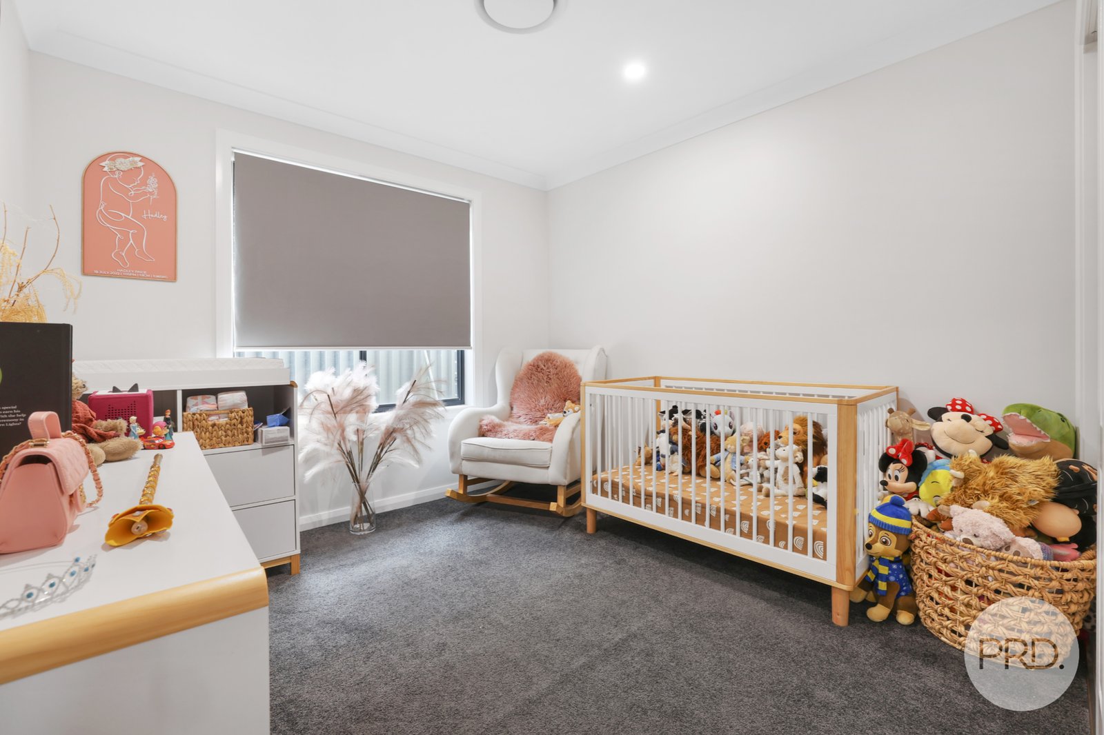 42 Ibis Street TAMWORTH 17