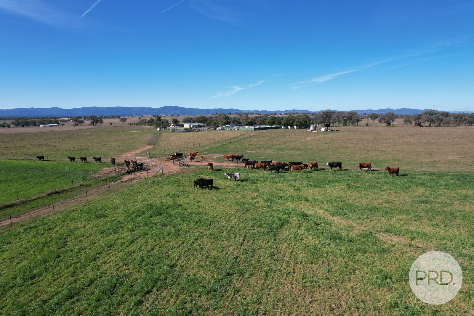 42 Jenners Lane TAMWORTH 25