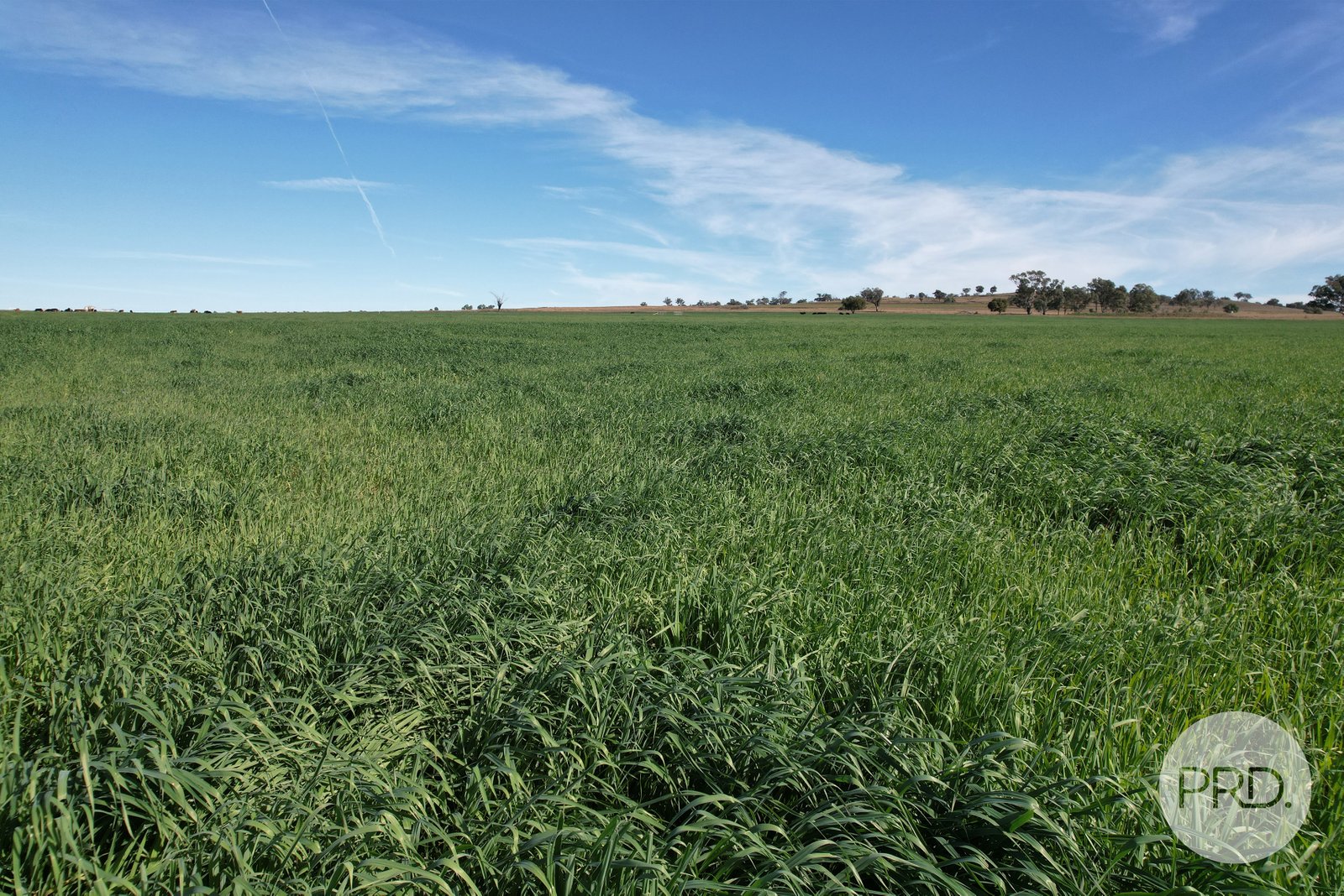 42 Jenners Lane TAMWORTH 26