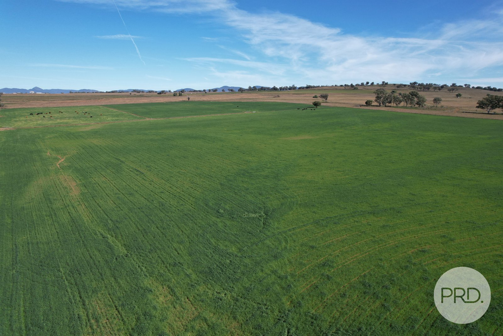 42 Jenners Lane TAMWORTH 27