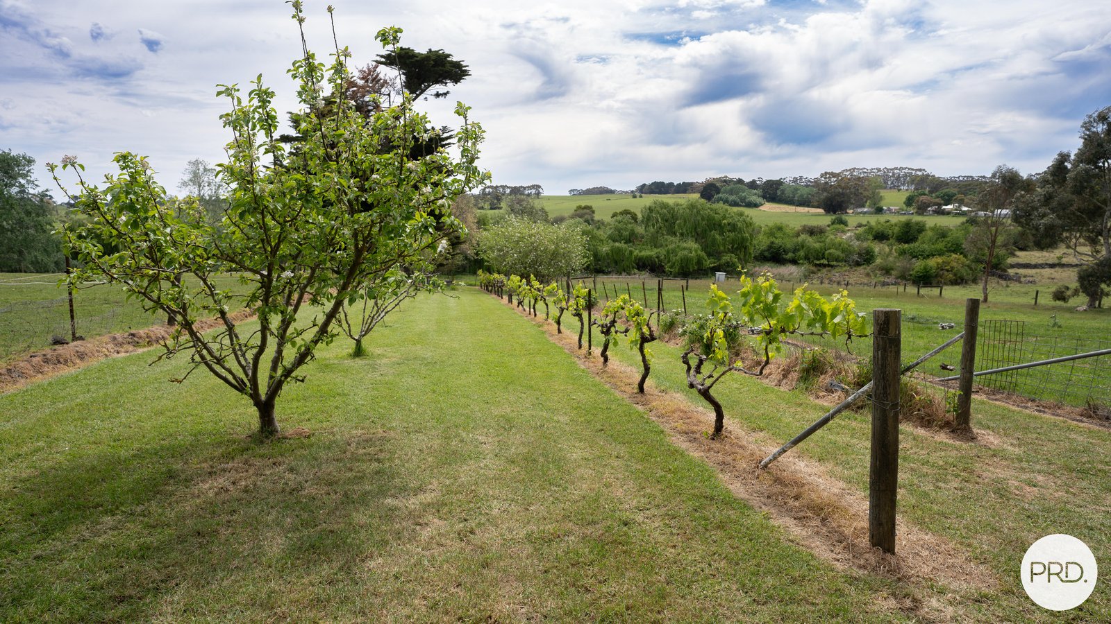 42 Louth Swamp Road BYADUK 12