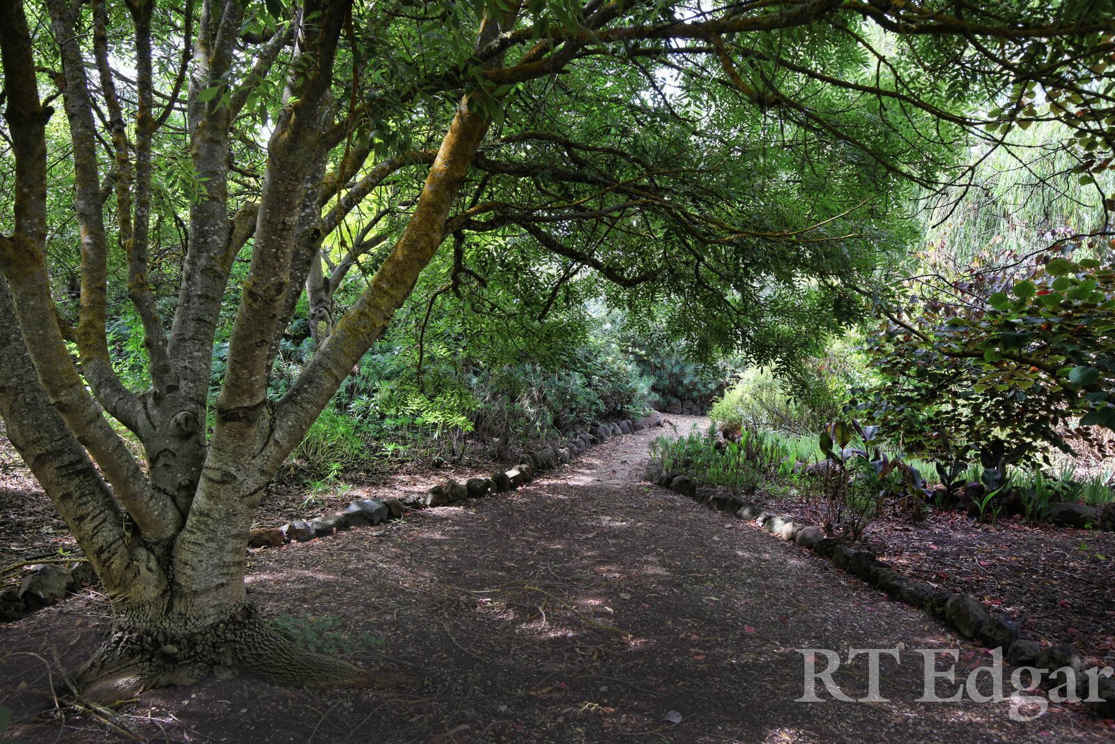 Real Estate and Property in 42 Main Road, Lancefield, VIC