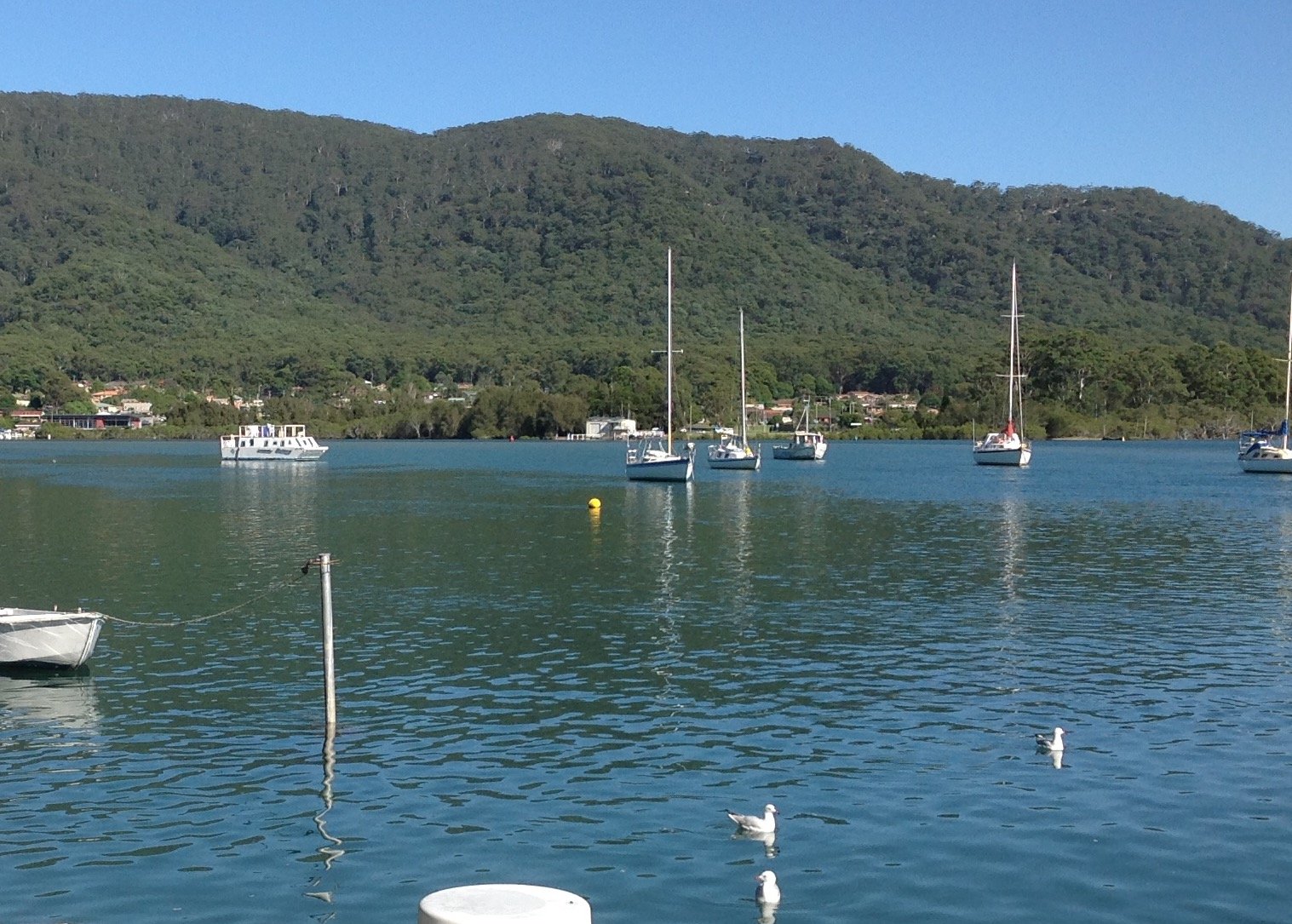 42 The Boulevarde  DUNBOGAN 18