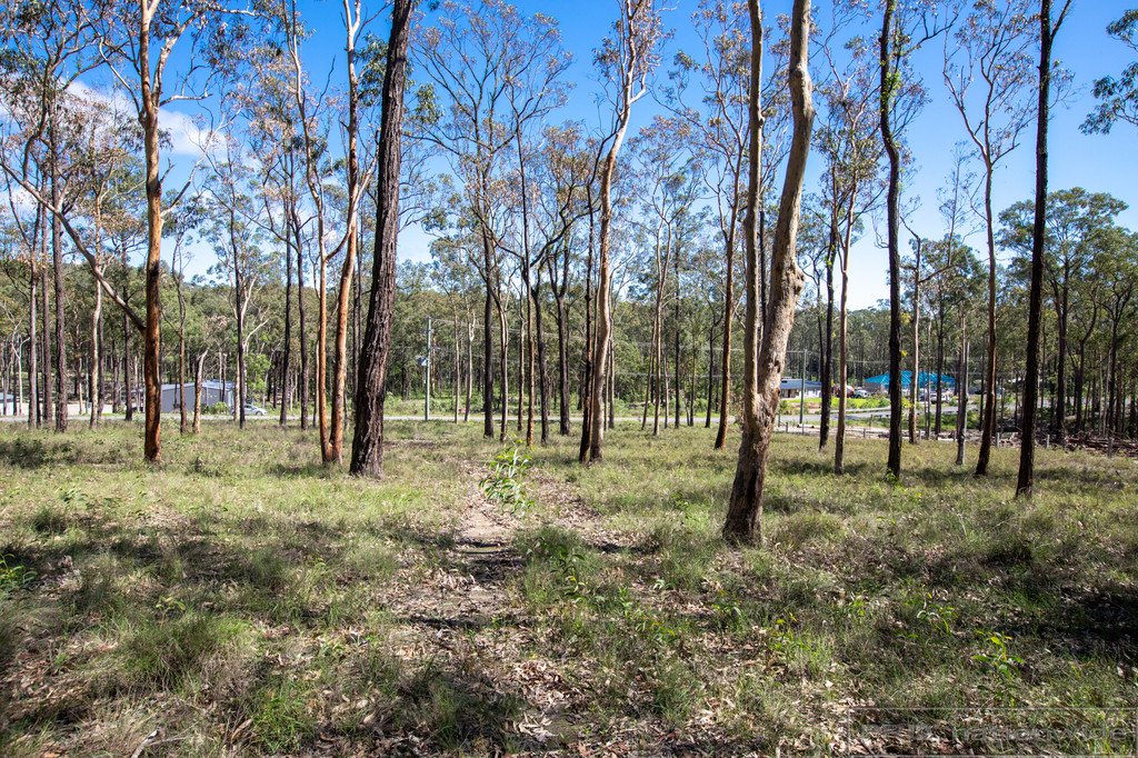 42 Timbertop Road GLEN OAK 4