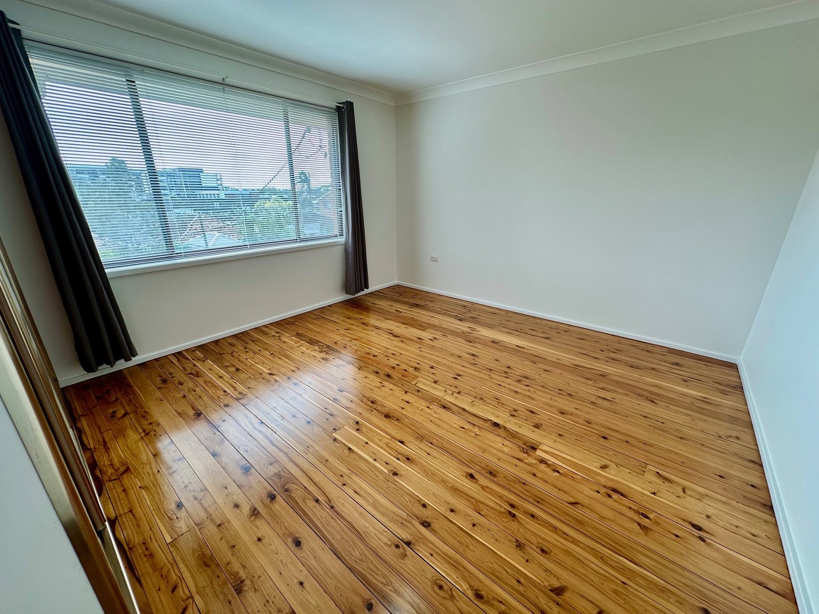 42 Trevelyan Street BOTANY 3