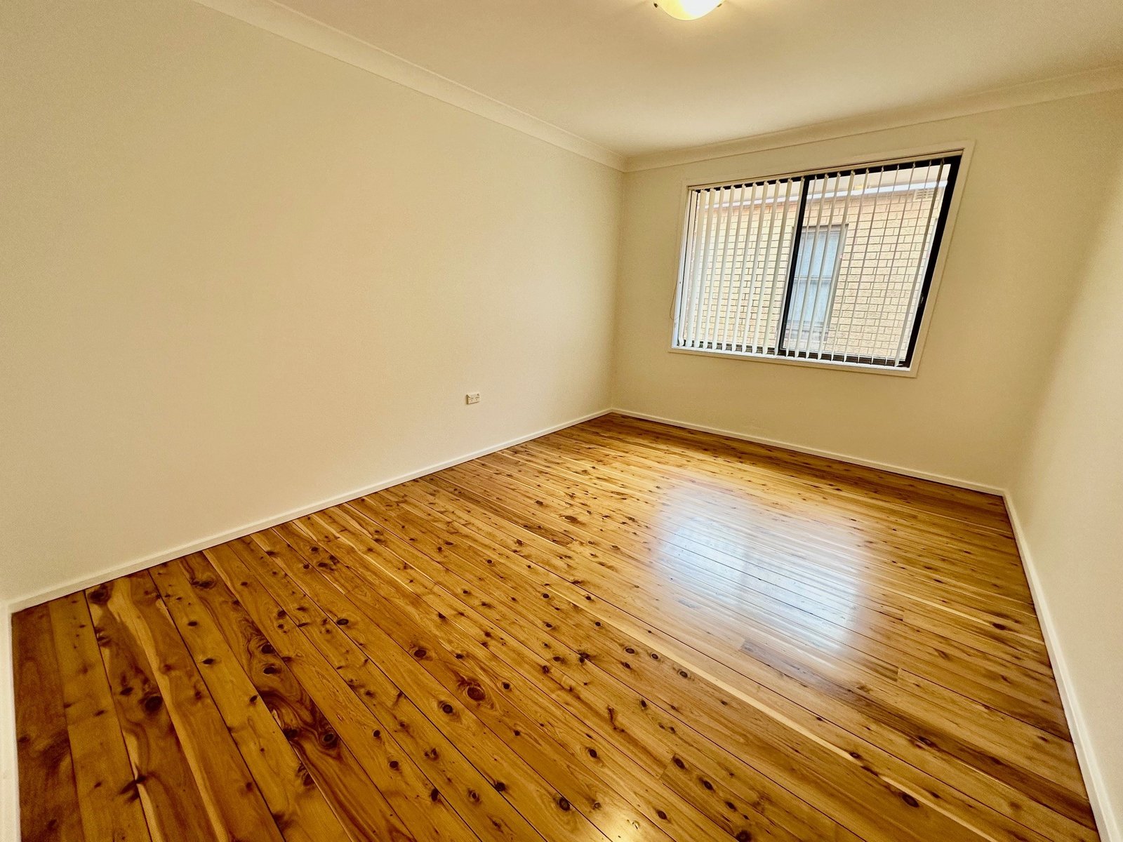 42 Trevelyan Street BOTANY 7