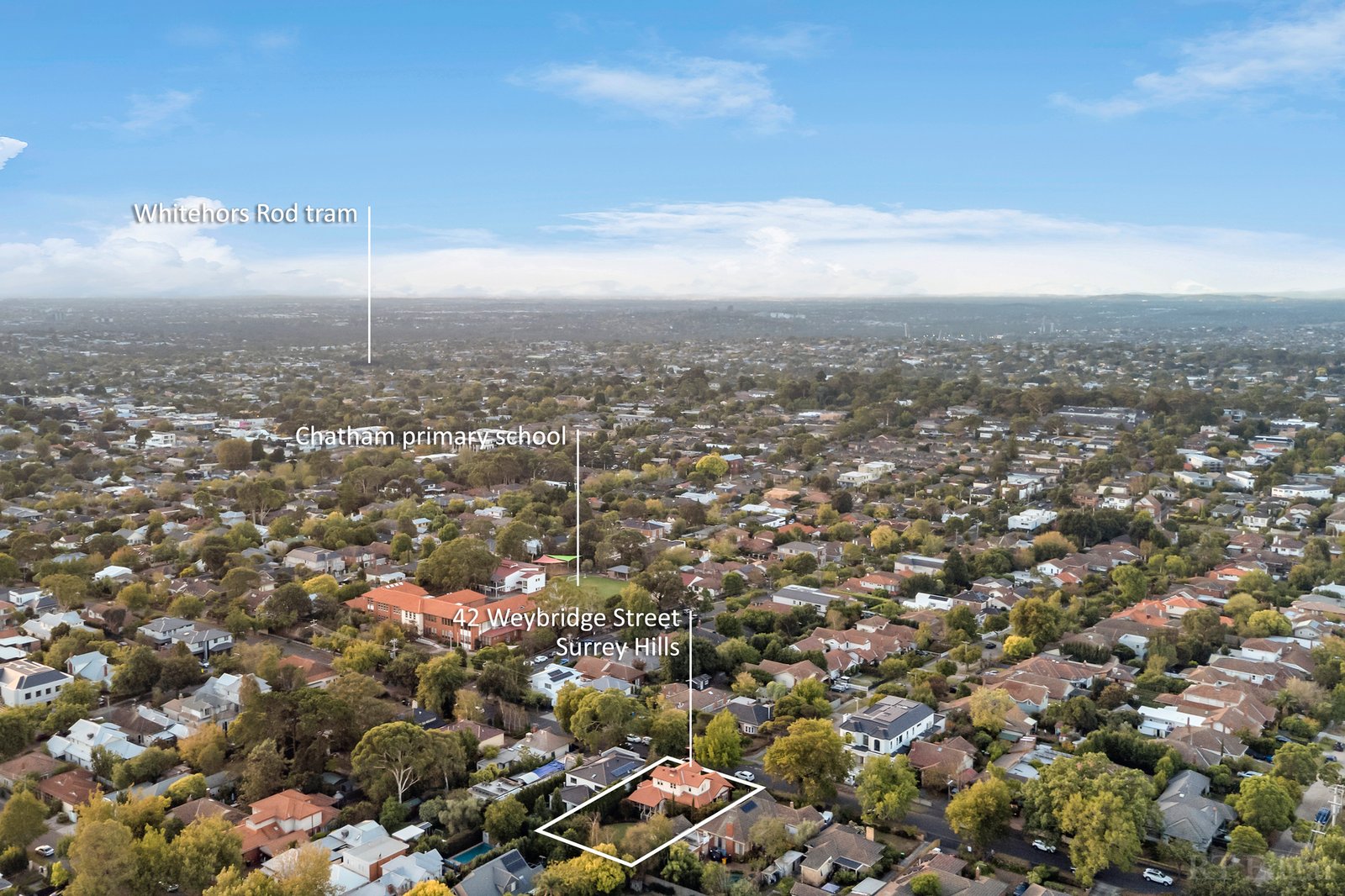 Real Estate and Property in 42 Weybridge Street, Surrey Hills, VIC