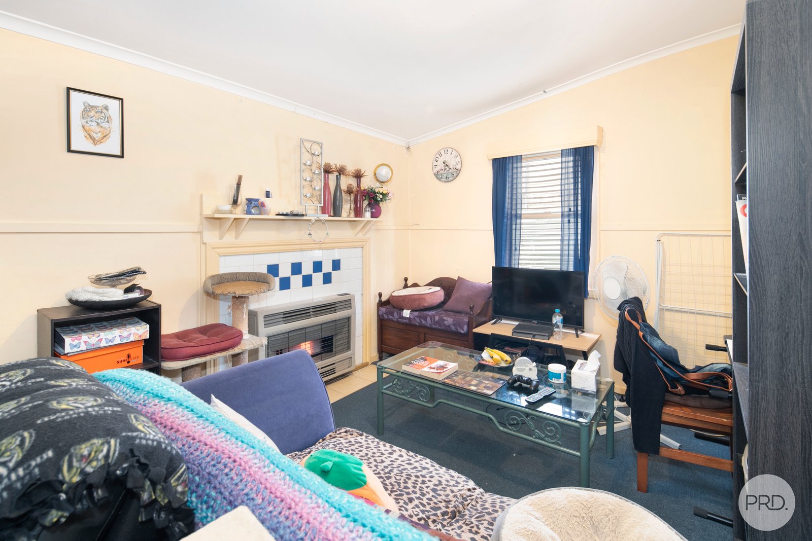 423 Eureka Street EUREKA 6