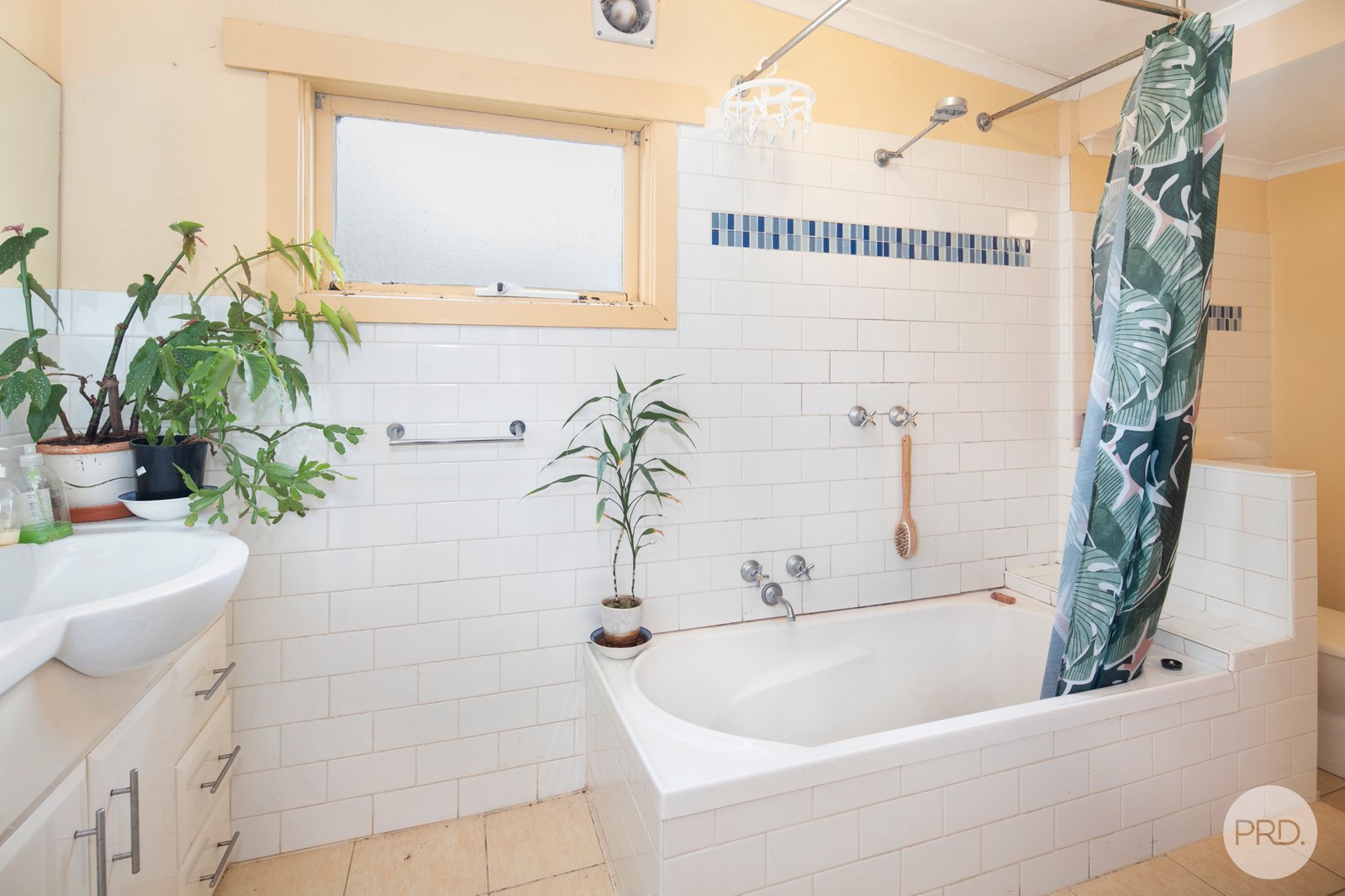 423 Eureka Street EUREKA 8