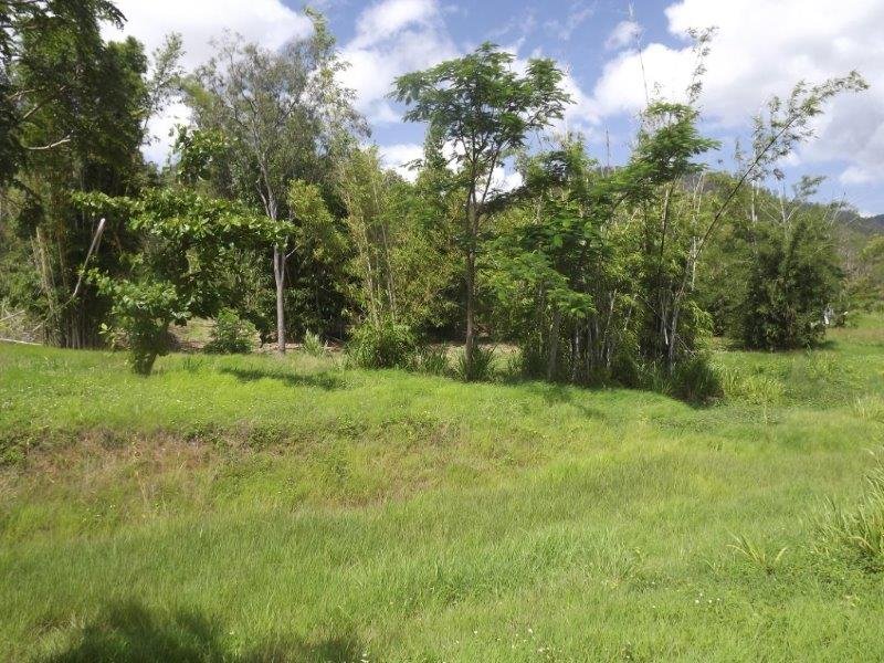 423 Paluma Road WOODWARK 1