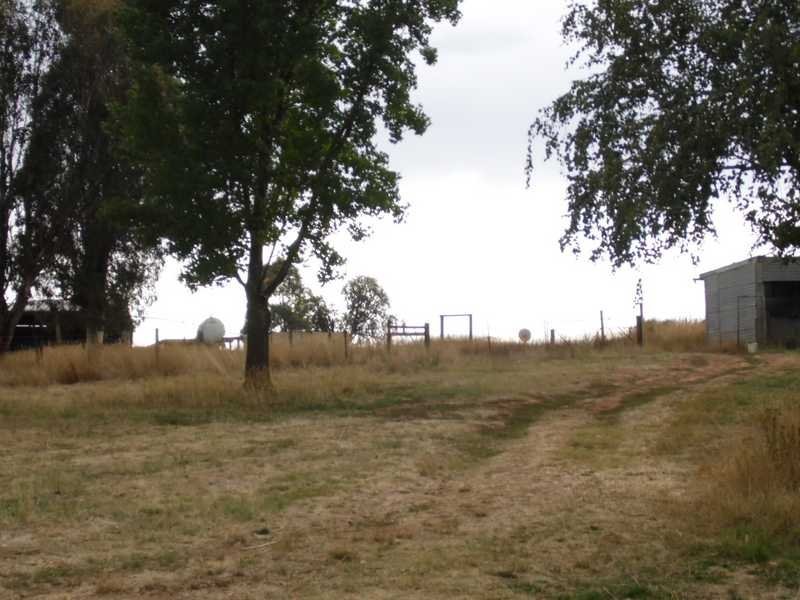 424 Wagga Road TUMBARUMBA 6