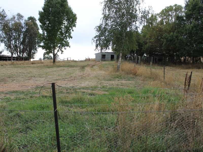 424 Wagga Road TUMBARUMBA 13
