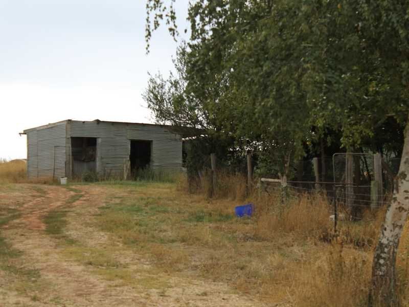 424 Wagga Road TUMBARUMBA 14