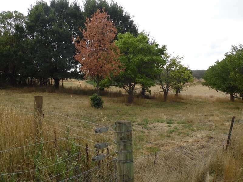 424 Wagga Road TUMBARUMBA 18