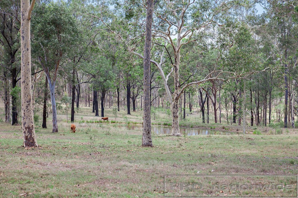 429 WOLLOMBI RD  FARLEY 19