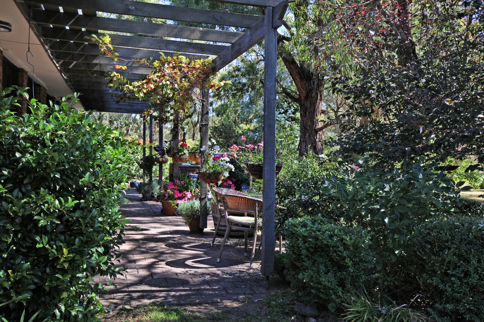 Real Estate and Property in 43 Andrew Avenue, Woodend, VIC