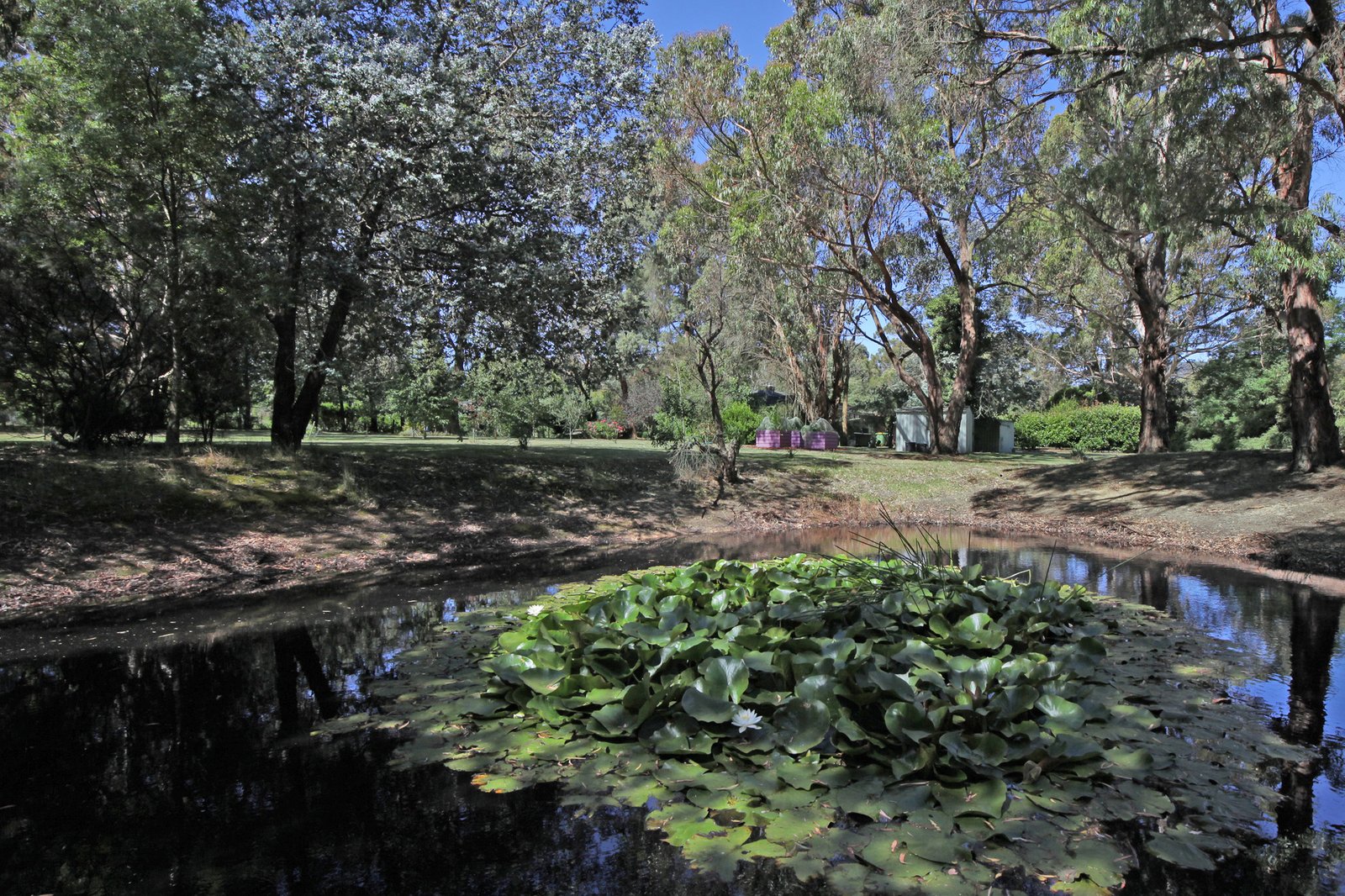 Real Estate and Property in 43 Andrew Avenue, Woodend, VIC