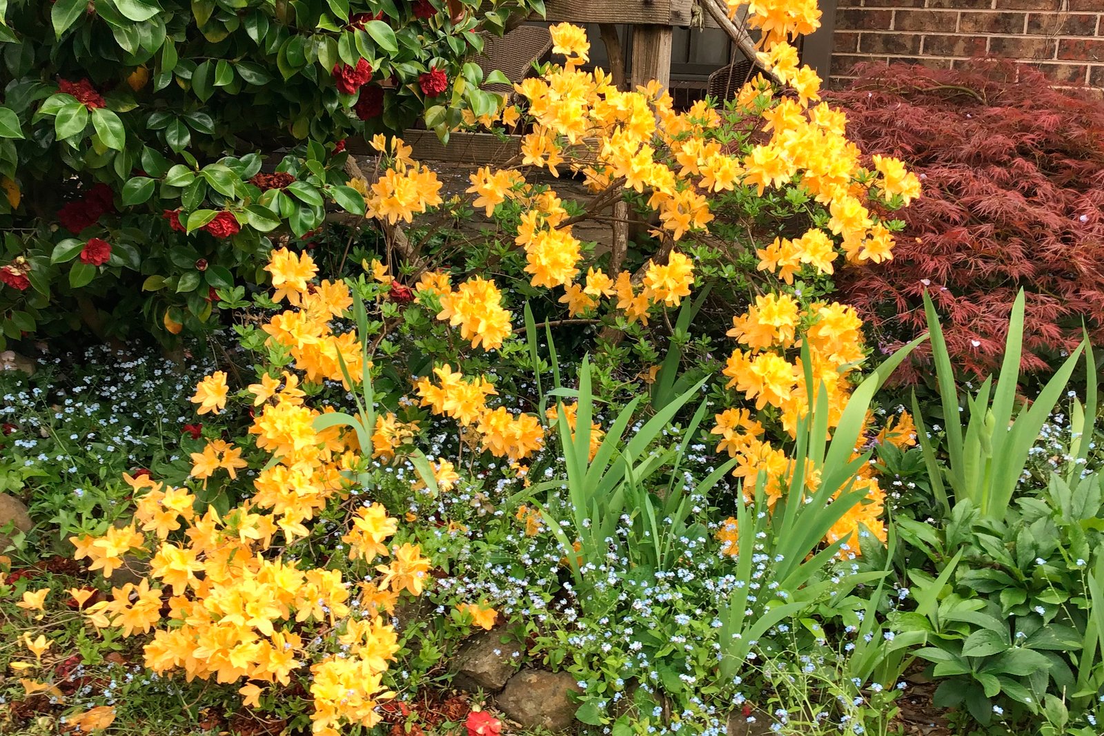 Real Estate and Property in 43 Andrew Avenue, Woodend, VIC