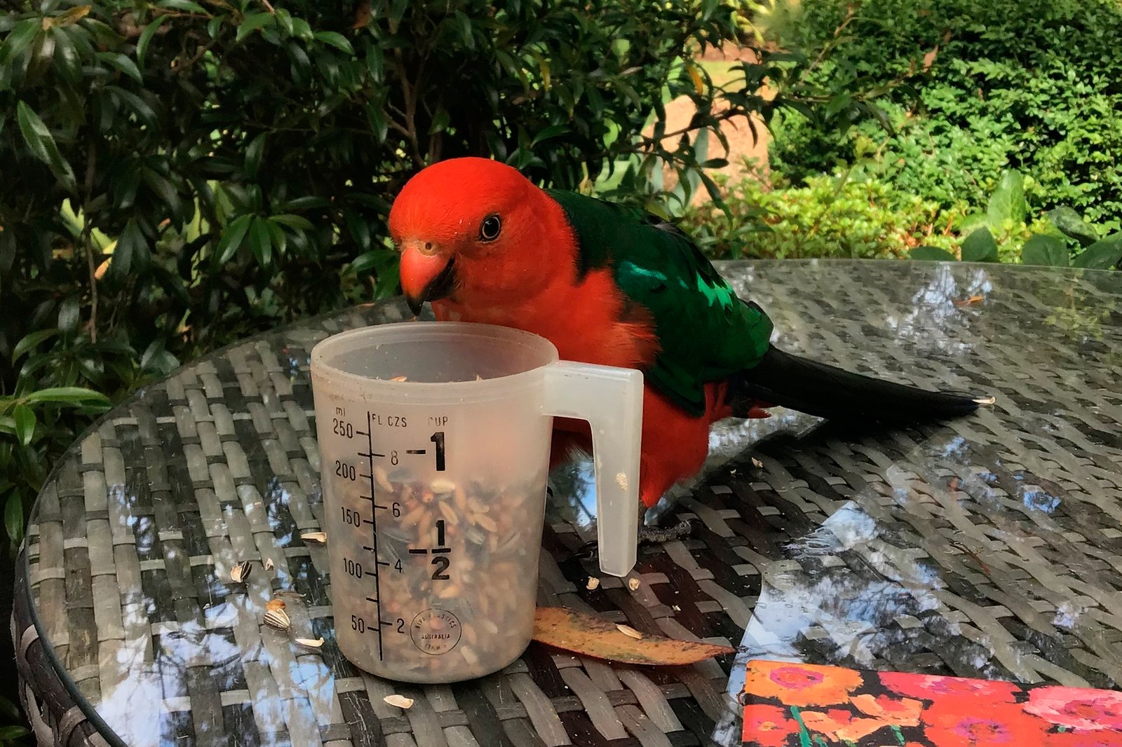 Real Estate and Property in 43 Andrew Avenue, Woodend, VIC