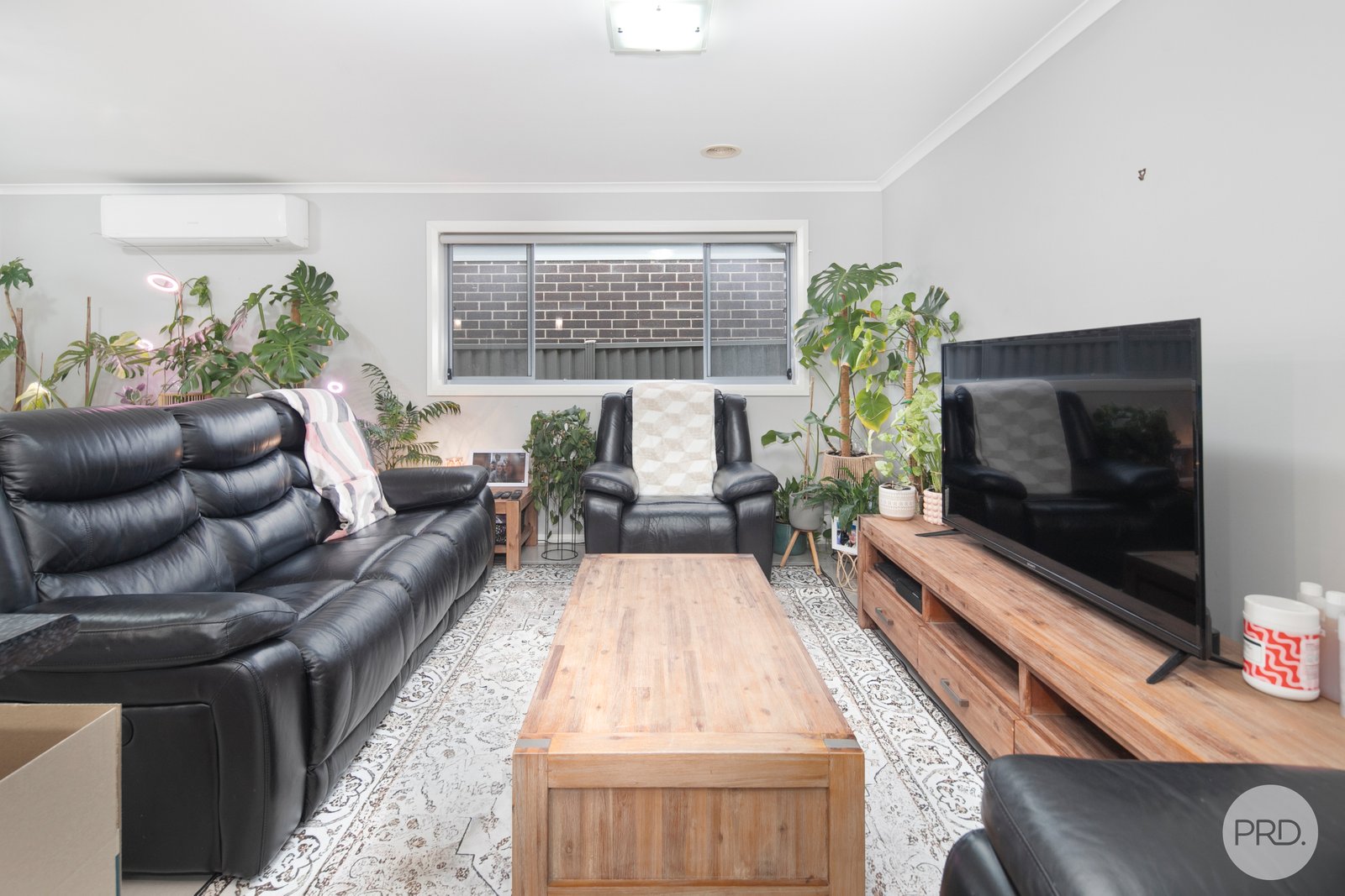 43 Brahman Drive DELACOMBE 6