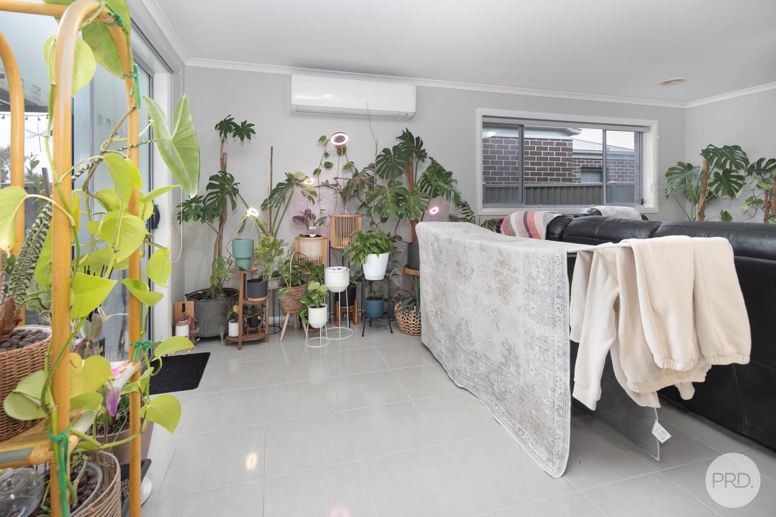 43 Brahman Drive DELACOMBE 7