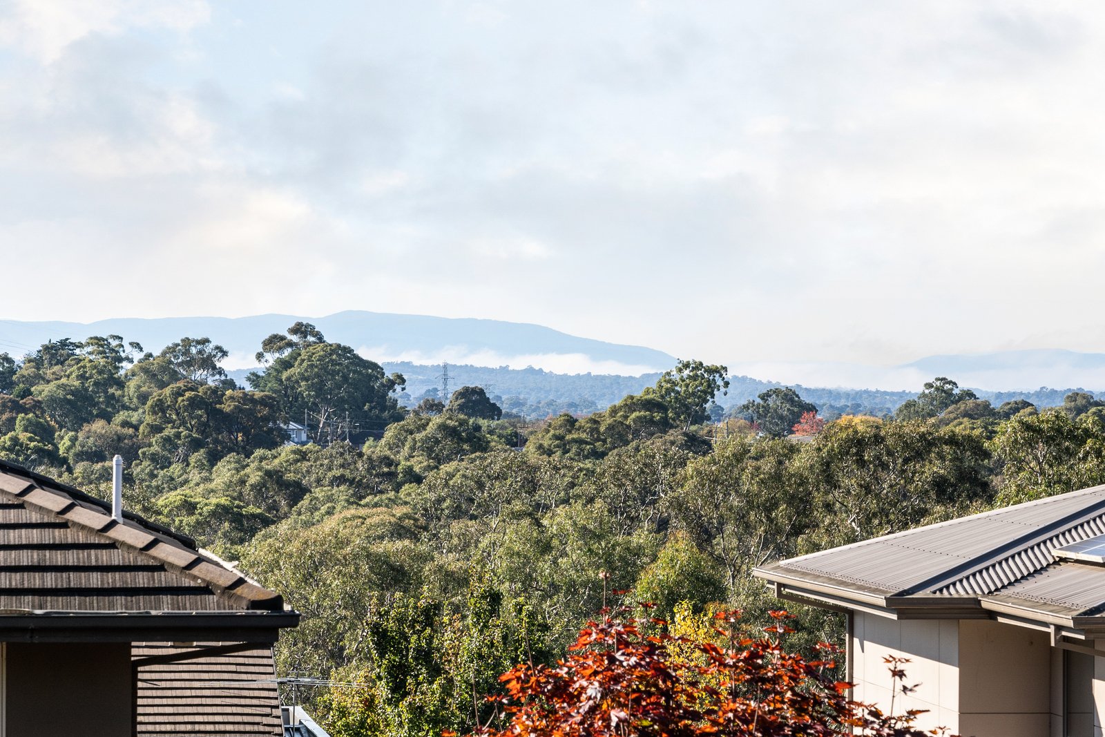 Real Estate and Property in 43 Crestwood Avenue, Macleod, VIC