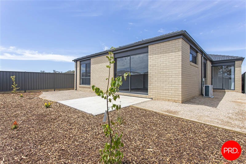 43 Daisy Street HUNTLY 12