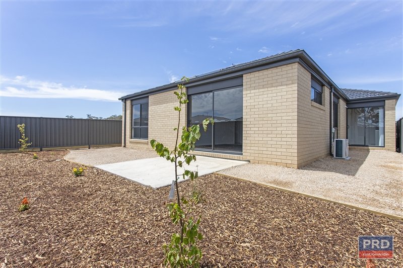 43 Daisy Street HUNTLY 12