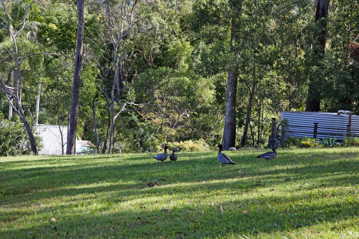 43 Goolabah Drive Tallebudgera 25