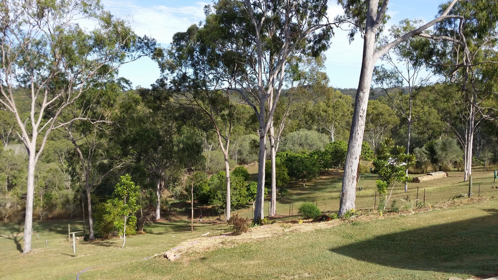 43 Helen Crescent WURDONG HEIGHTS 23