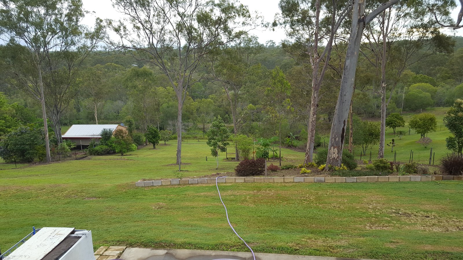 43 Helen Crescent WURDONG HEIGHTS 24