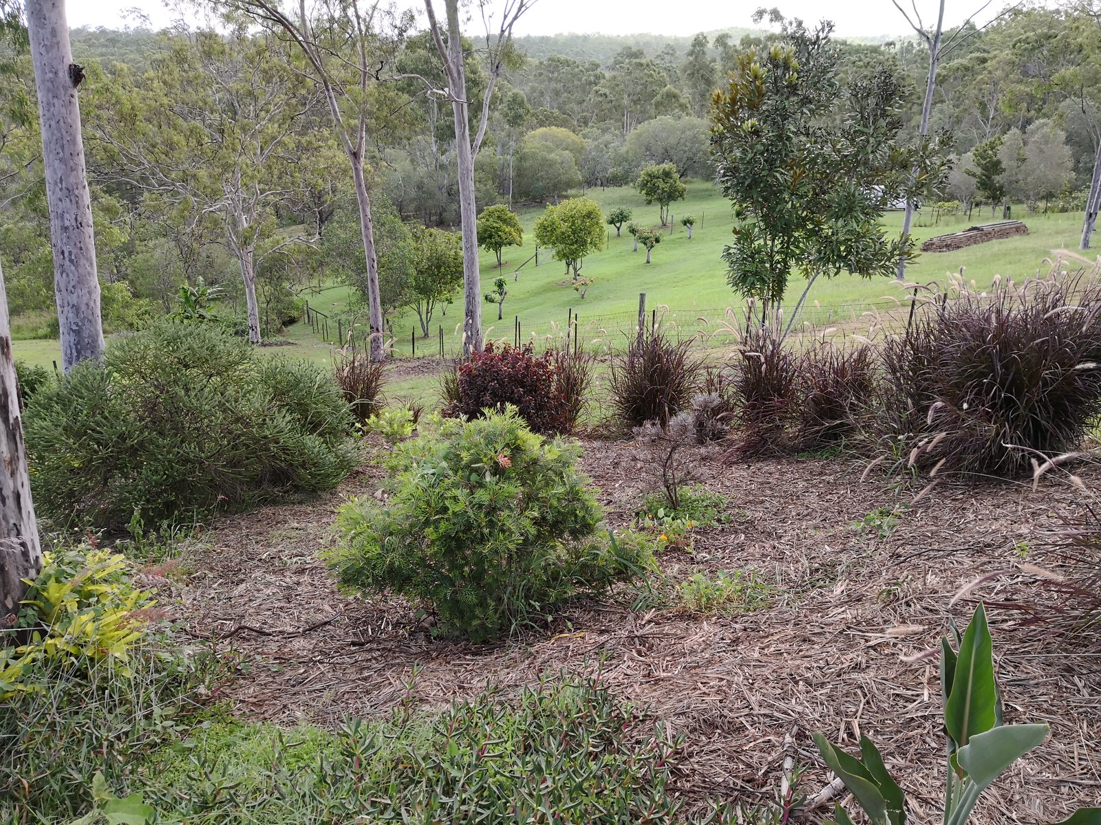 43 Helen Crescent WURDONG HEIGHTS 29