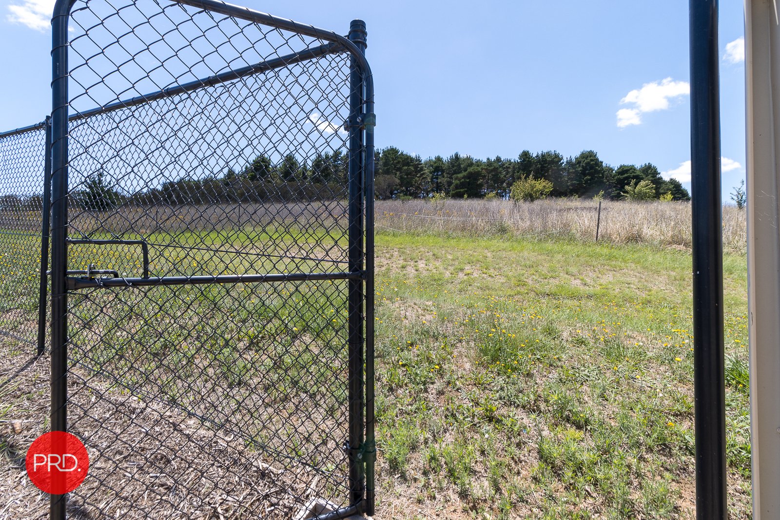 43 McCusker Drive BUNGENDORE 24