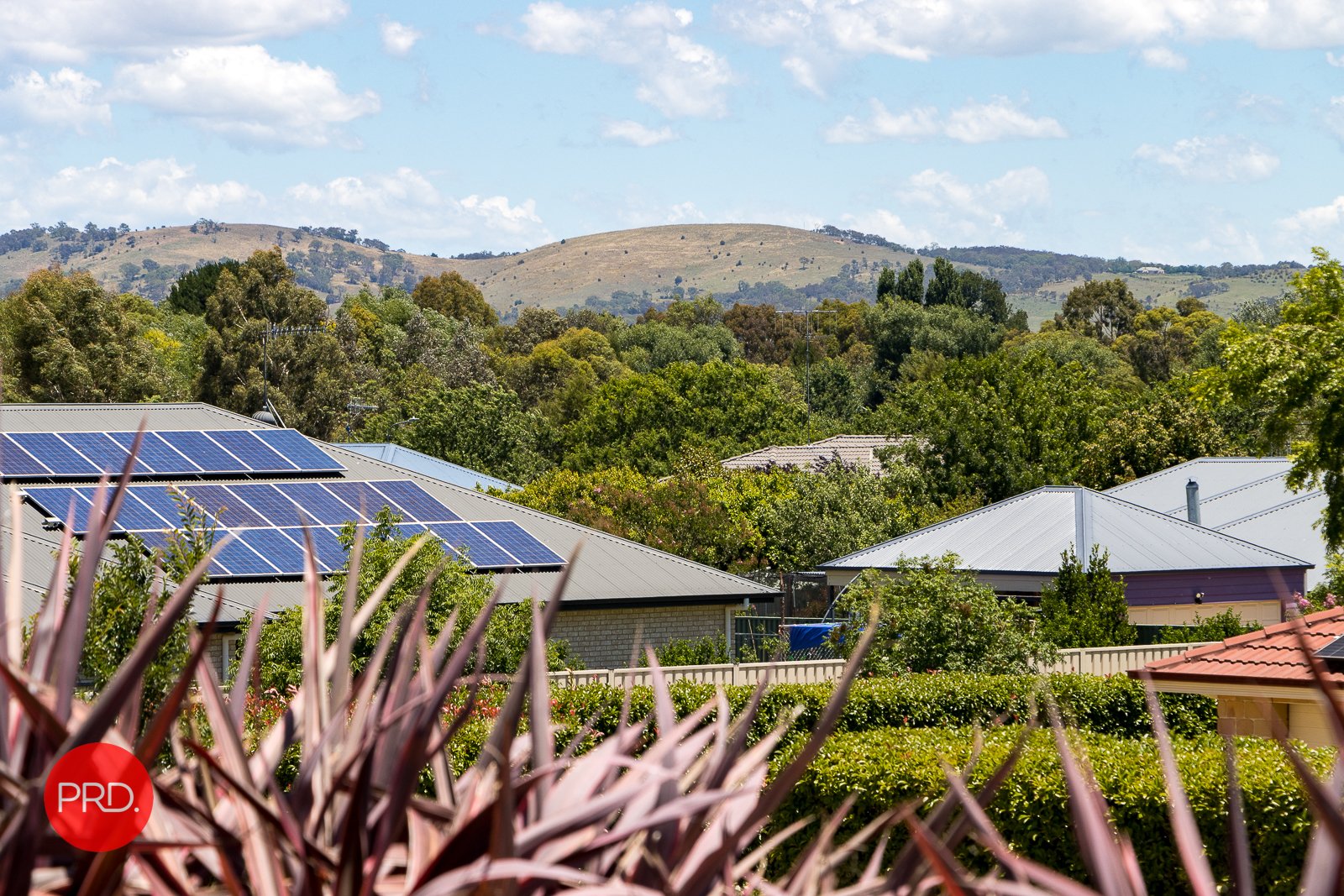 43 McCusker Drive BUNGENDORE 25