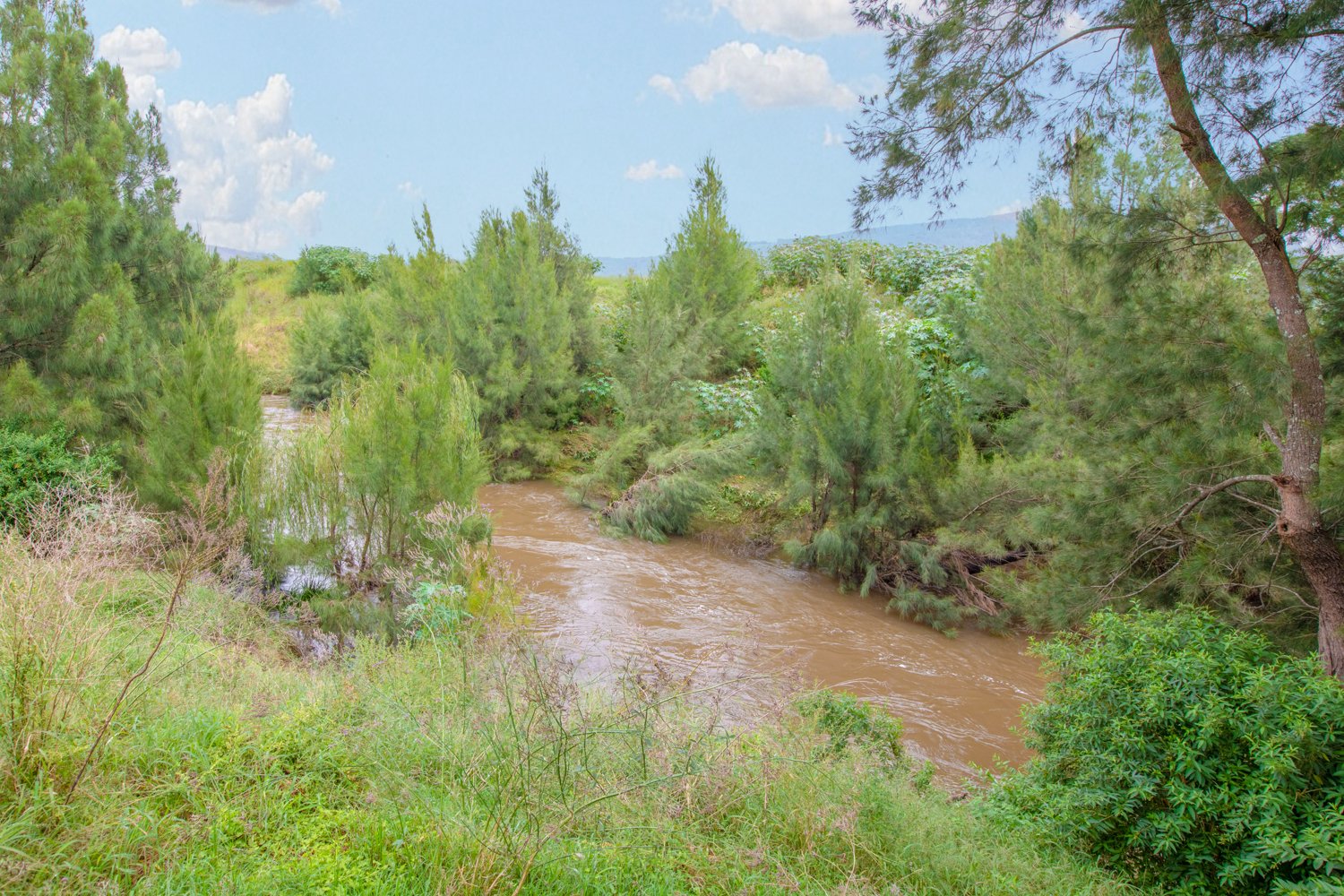 43 Sanctuary Way VACY 3