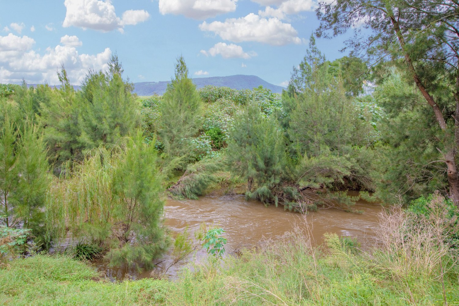 43 Sanctuary Way VACY 6