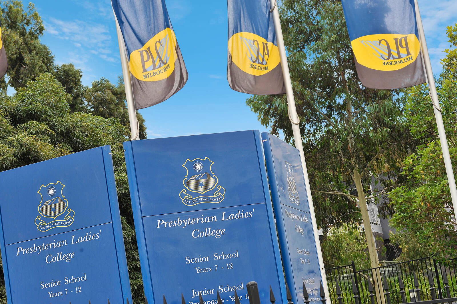 Real Estate and Property in 43 Somers Street, Burwood, VIC